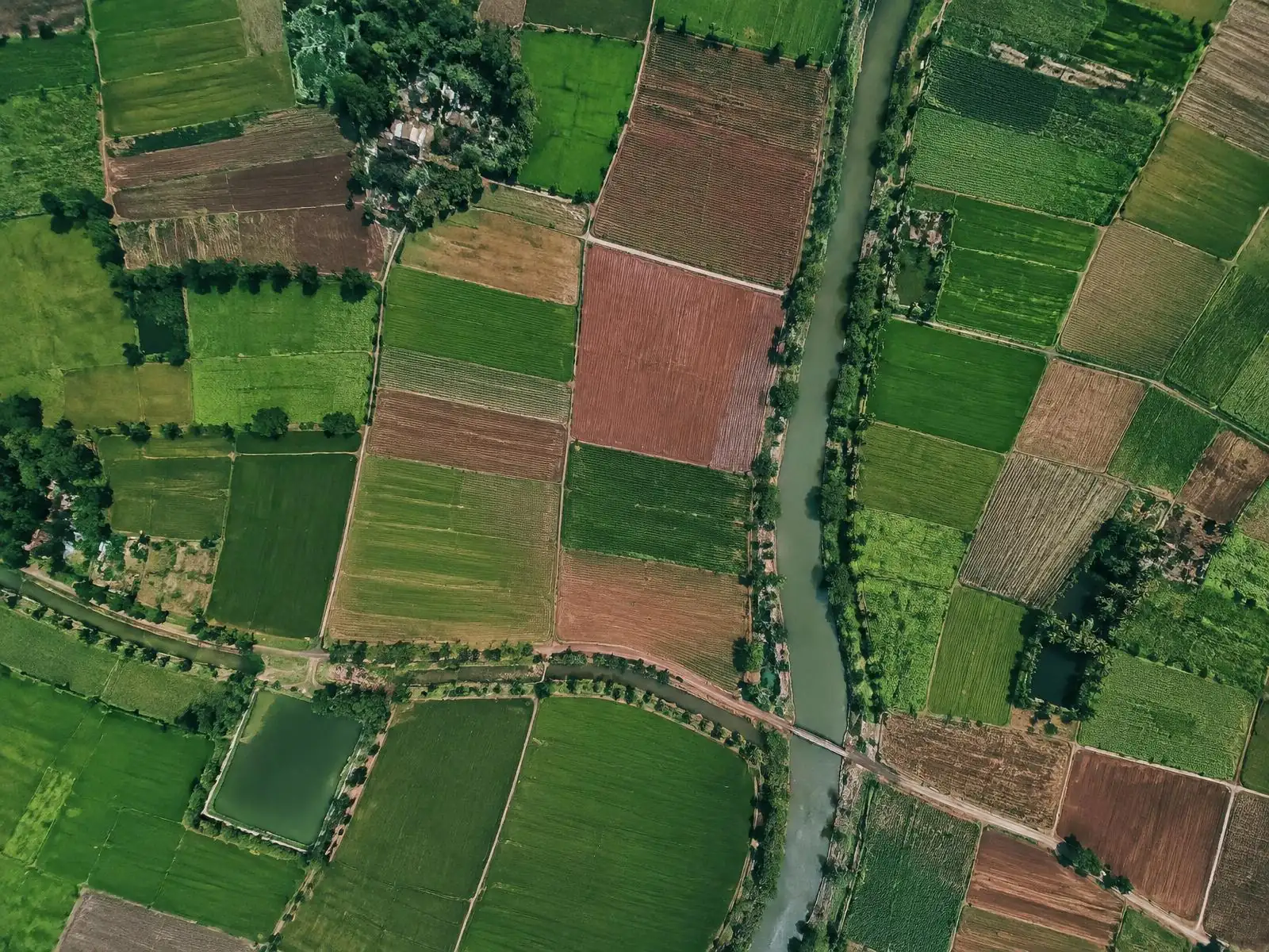Top-down satellite view of agricultural parcels
